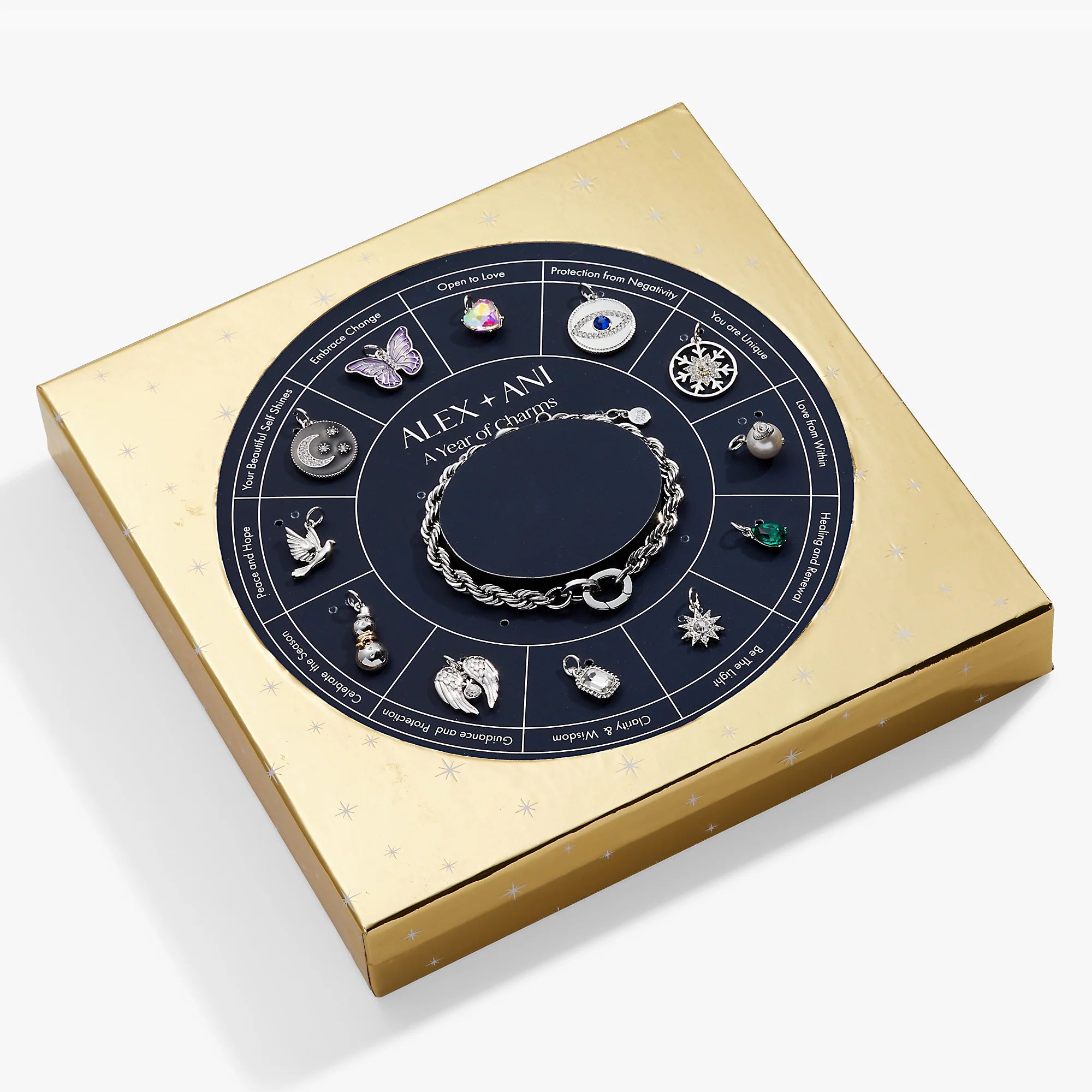 Alex and Ani 'Year In Charms' Mix + Match Charm Bracelet Gift Set