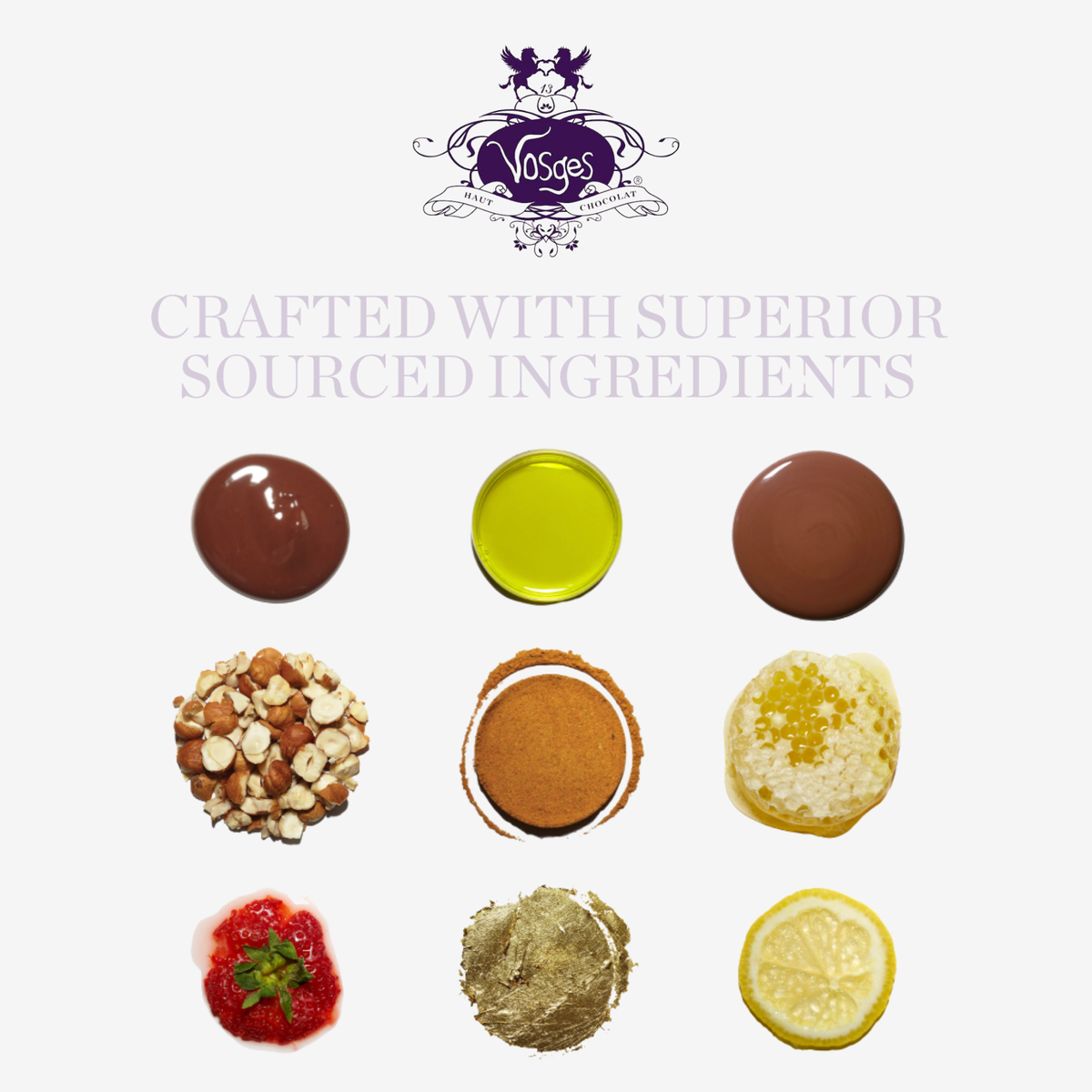 Vosges Cheese & Dark Chocolate Bar