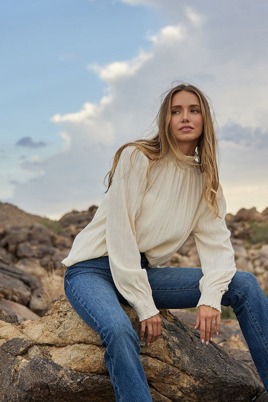 Mock Neck Velvet Ribbed Top