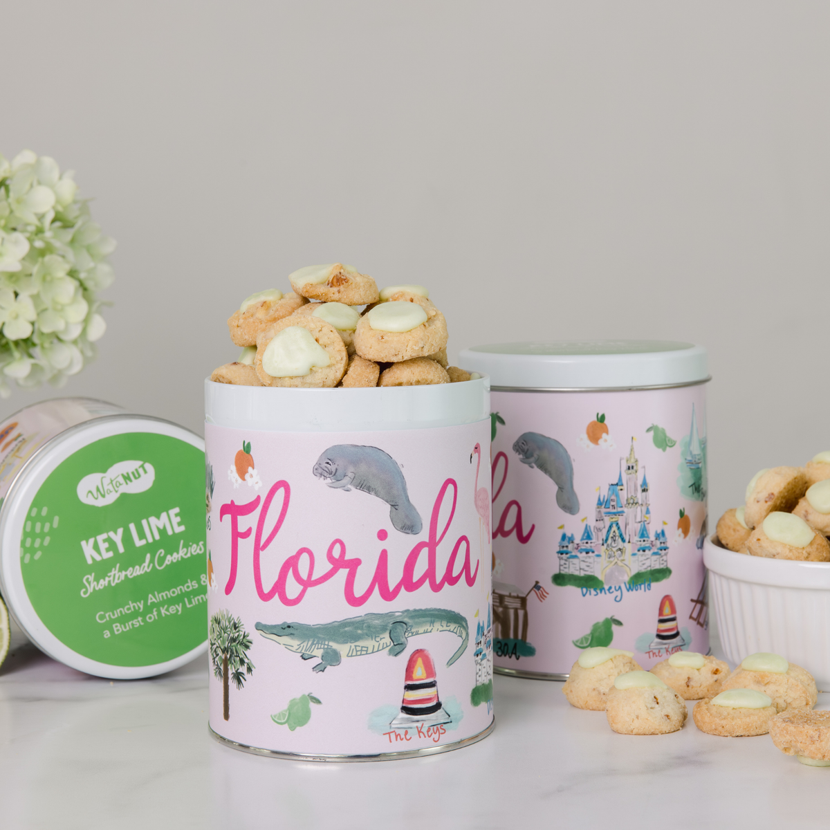 Florida State Gift Tin | Gourmet ookies